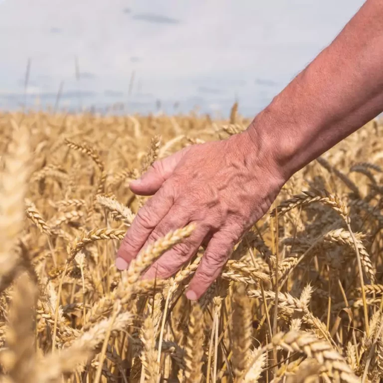 Investir dans les matières premières en 2024&nbsp;: quels avantages&nbsp;?