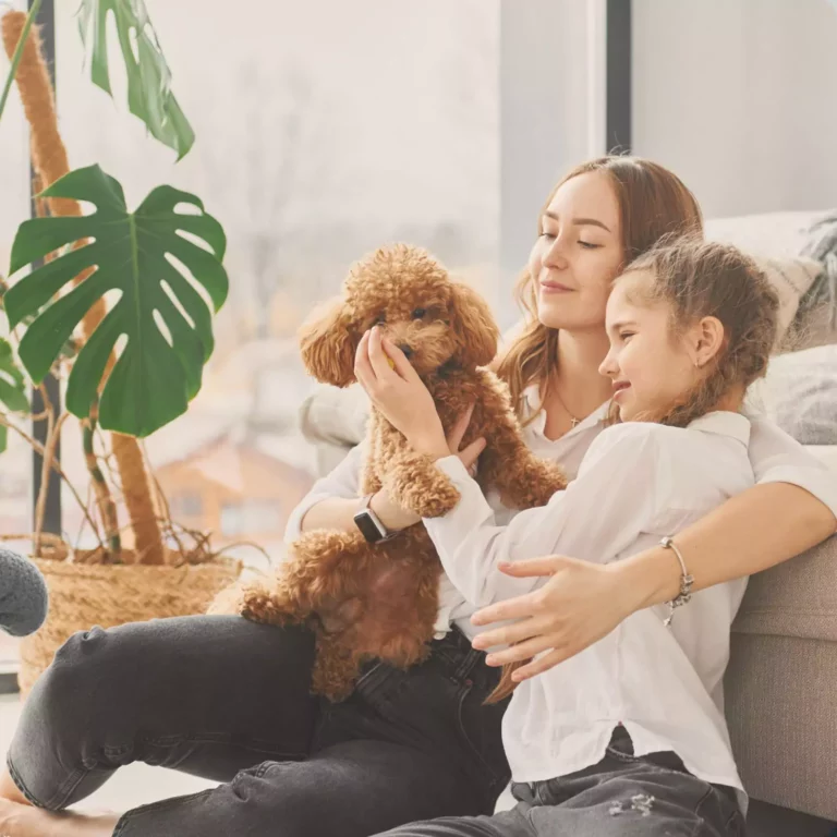 Bénéficiaire d’une assurance-vie&nbsp;: tout ce que vous devez savoir