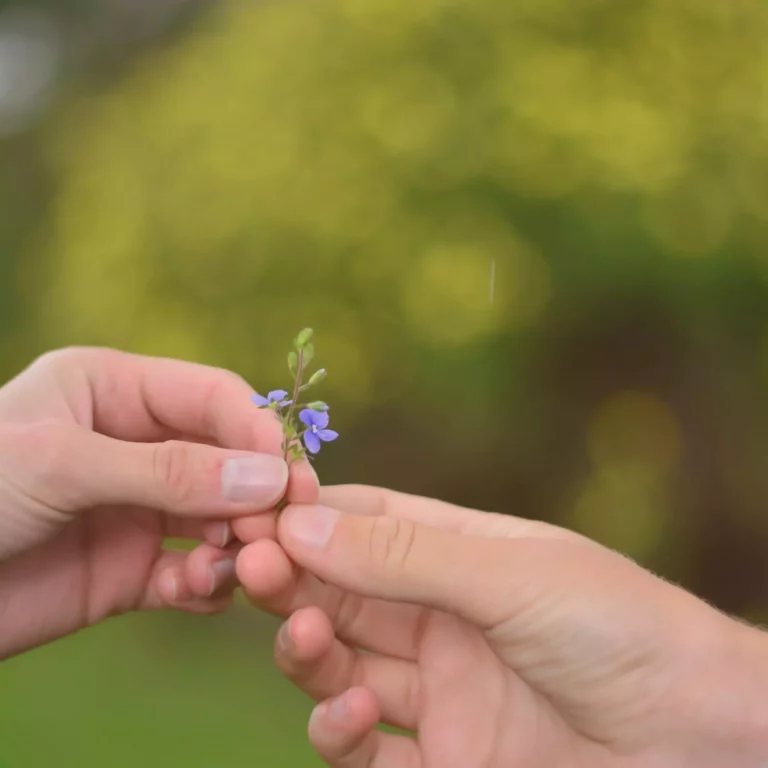 Que faire quand on touche une grosse somme d&rsquo;argent&nbsp;?